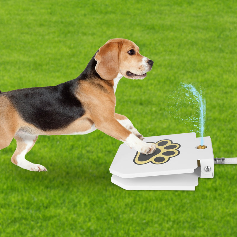 Step-On Outdoor Dog Water Fountain — Fresh Water, Zero Effort