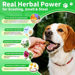 Pumpkin Probiotic Chews for Dogs — Gut Health & Upset Stomach Relief, 90ct