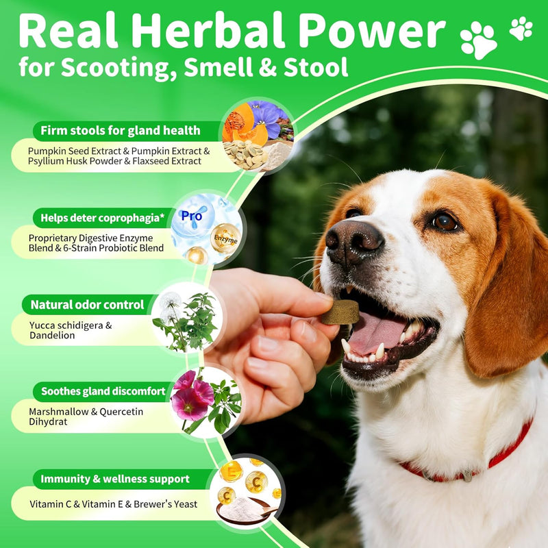 Pumpkin Probiotic Chews for Dogs — Gut Health & Upset Stomach Relief, 90ct