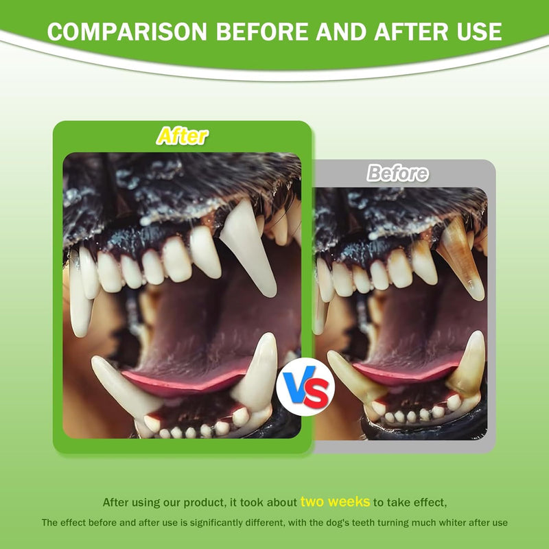 Pet Dental Powder — Fresher Breath, Healthier Gums Daily