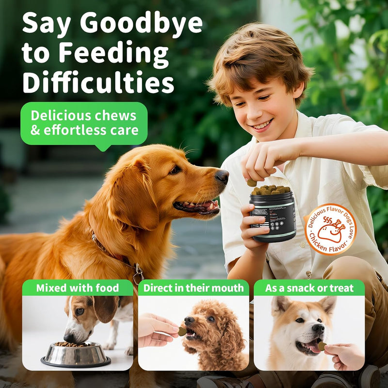 Pumpkin Probiotic Chews for Dogs — Gut Health & Upset Stomach Relief, 90ct