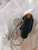 Handheld Folding Garment Steamer