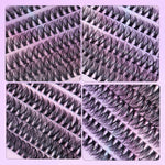 Segmented Lashes Set 12 Rows Of 30D Plus 40D Clusters Of 240