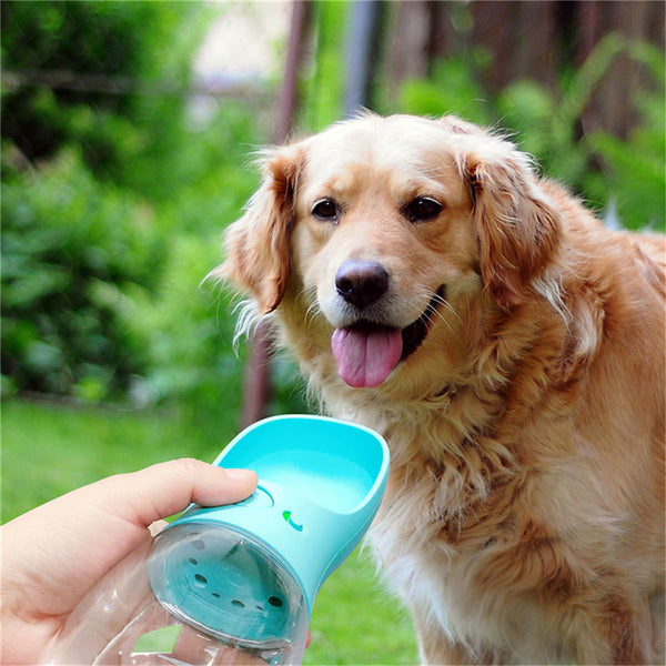Portable Pet Water Bottle — Fresh Water for On-the-Go Walks
