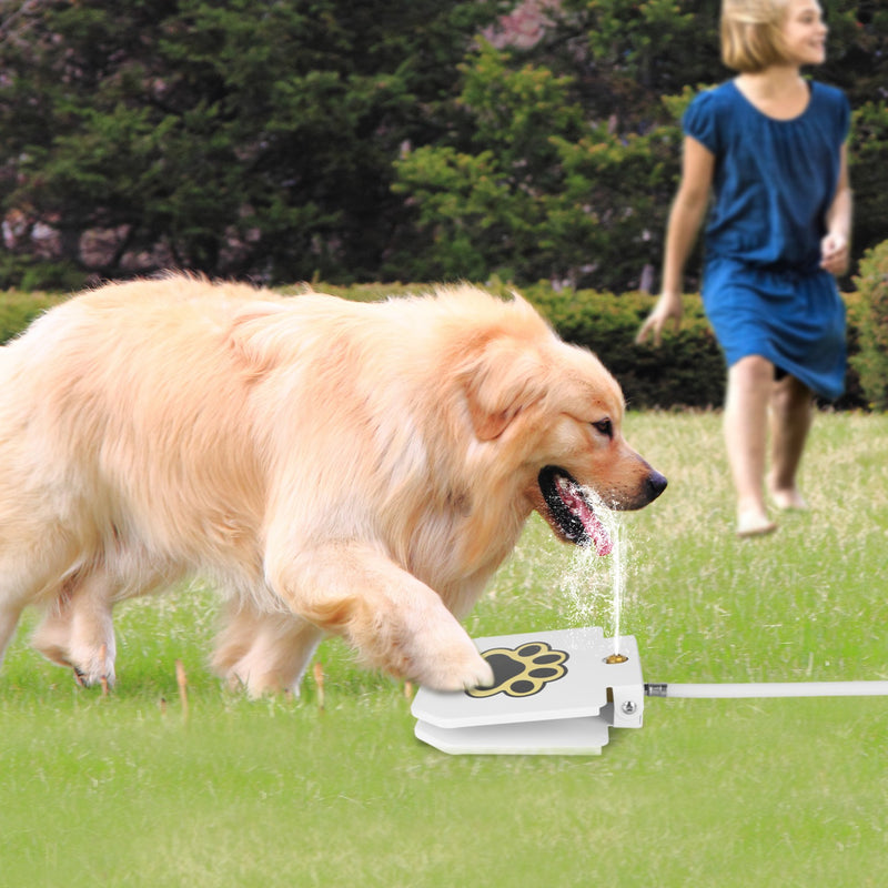 Step-On Outdoor Dog Water Fountain — Fresh Water, Zero Effort