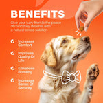 Hemp Glucosamine Chews for Dogs — Hip, Joint & Coat Support