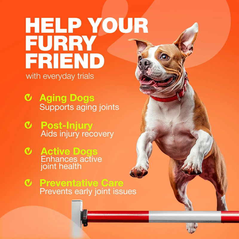 Hemp Glucosamine Chews for Dogs — Hip, Joint & Coat Support