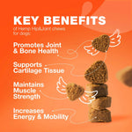 Hemp Glucosamine Chews for Dogs — Hip, Joint & Coat Support