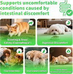 Dog Probiotics Digestive Enzymes,Pumpkin Fiber Chews For Gut Health, Constipation Upset Stomach Relief, Gas & Stool Support, Chicken Flavor Soft Chews ,90 Count