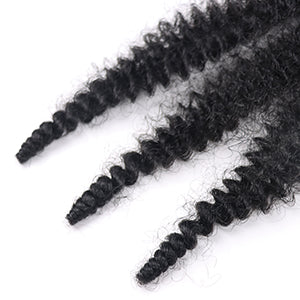Pre-Separated Spring Twist Hair, 22