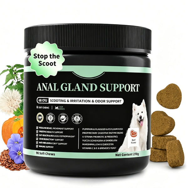 Pumpkin Probiotic Chews for Dogs — Gut Health & Upset Stomach Relief, 90ct