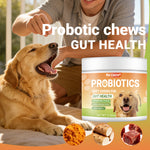 Intestinal Health Chewing Tablets