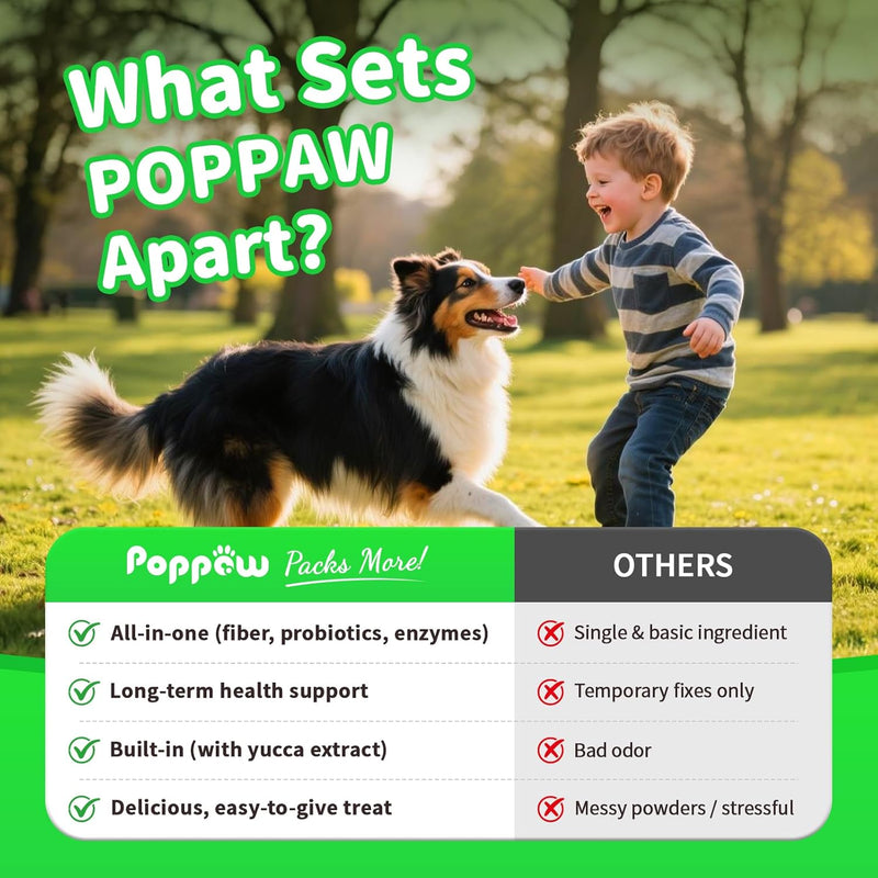 Pumpkin Probiotic Chews for Dogs — Gut Health & Upset Stomach Relief, 90ct