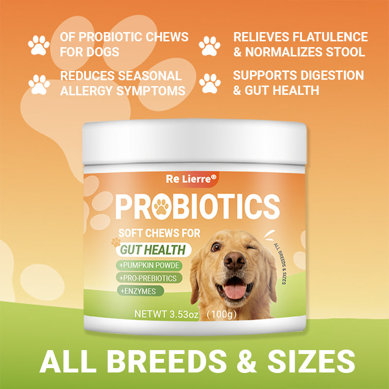 Intestinal Health Chewing Tablets